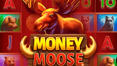 money moose